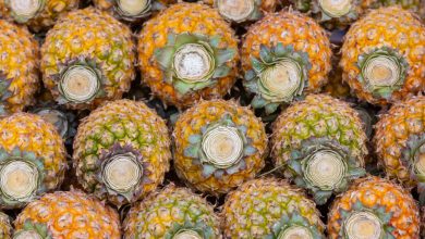 Pineapple Secrets