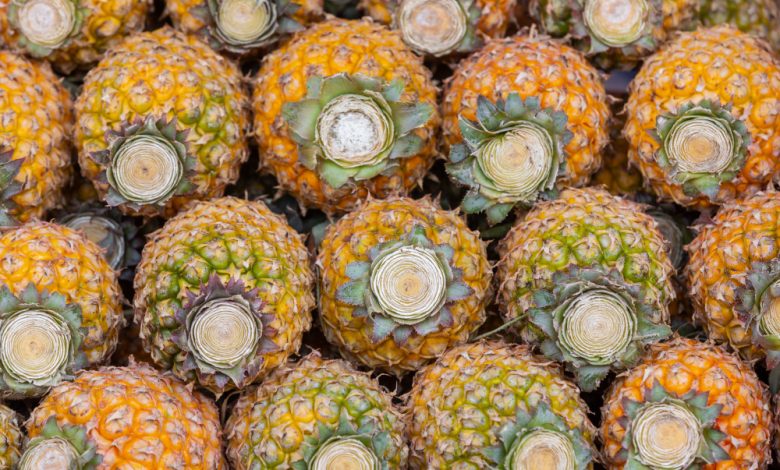 Pineapple Secrets