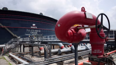 Dangote Refinery to Sell Shares at ₦525 in Historic $1.6 Billion IPO
