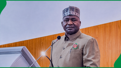 Defence Minister Confirms Alleged Coup Plot Against Tinubu Was Real