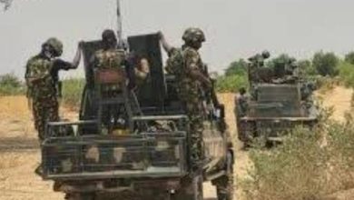 Genetic Nigerian troops