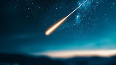 Dark sky with bright meteor falling