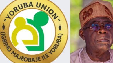 Yoruba union logo and president Tinubu.