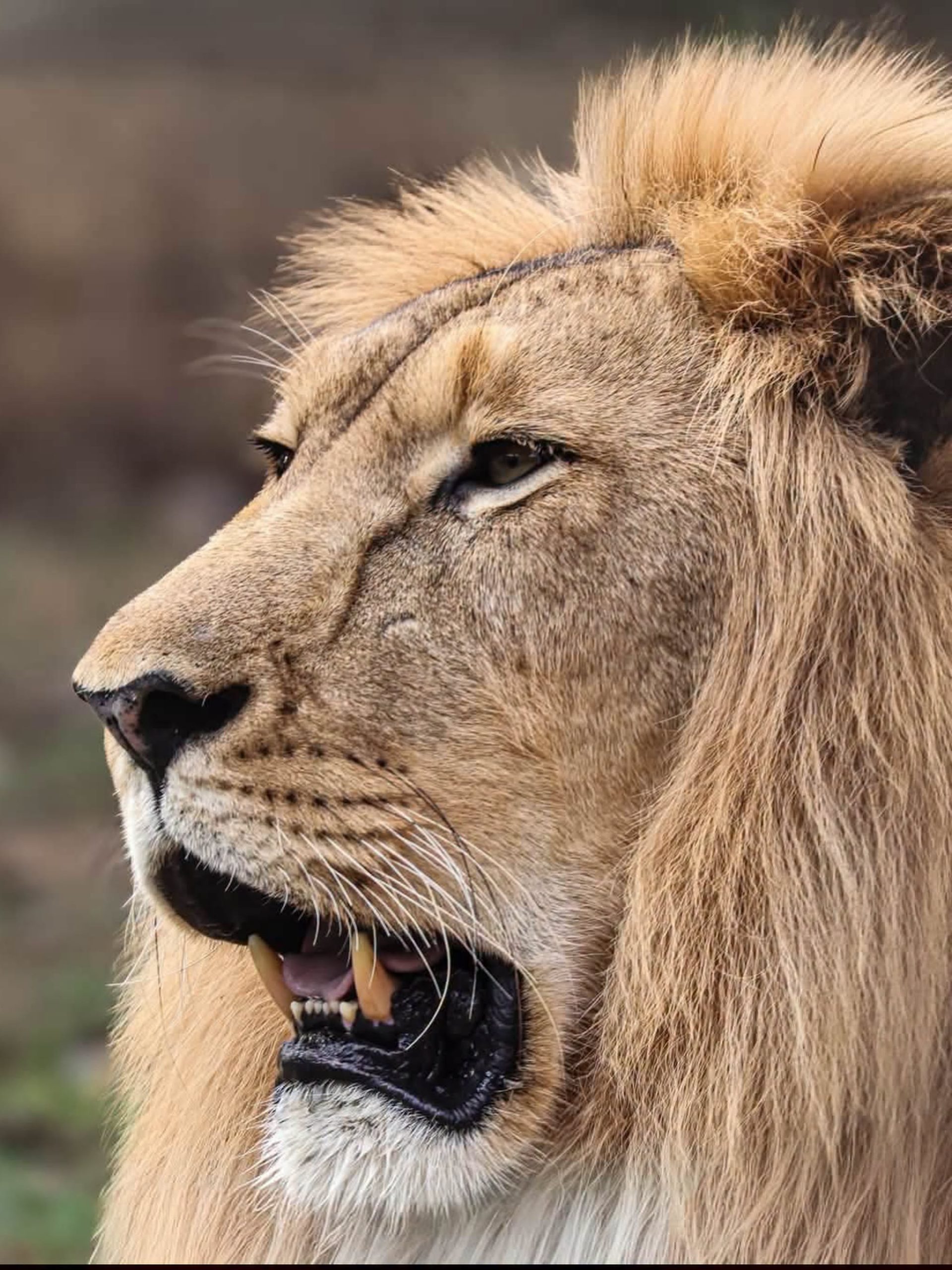 Nigerian Photographer Fatima Yusuf Brings Nigeria’s Hidden Wildlife Ecosystems Into Focus 4