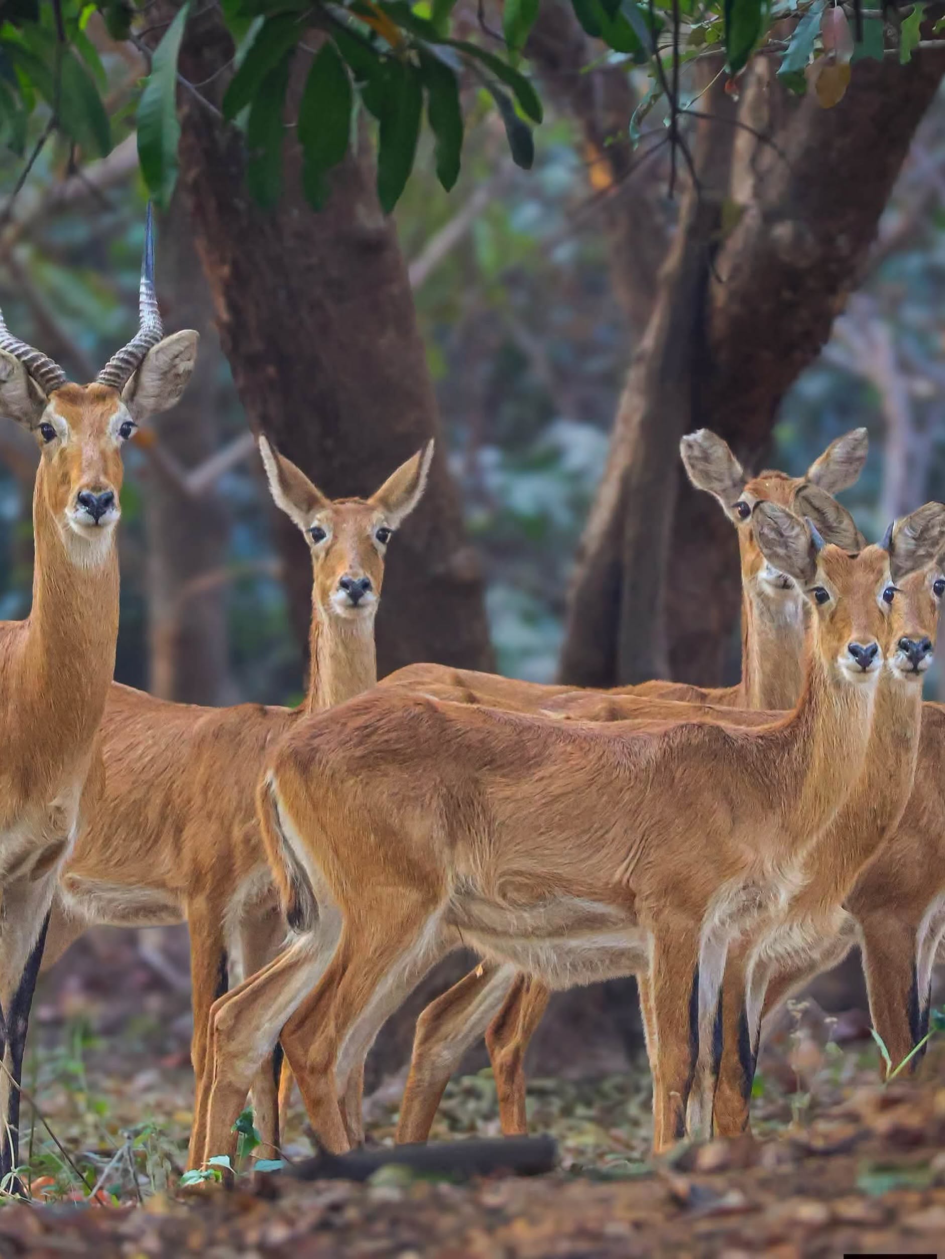 Nigerian Photographer Fatima Yusuf Brings Nigeria’s Hidden Wildlife Ecosystems Into Focus 4