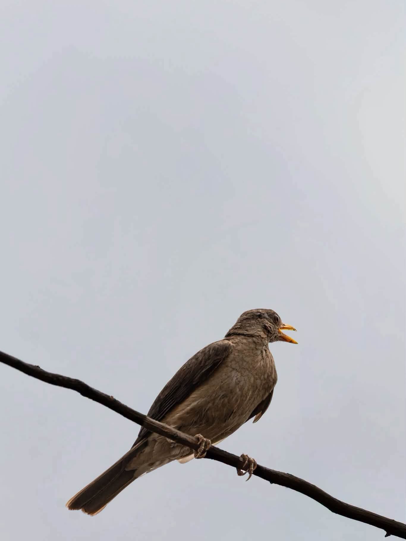 Nigerian Photographer Fatima Yusuf Brings Nigeria’s Hidden Wildlife Ecosystems Into Focus 4