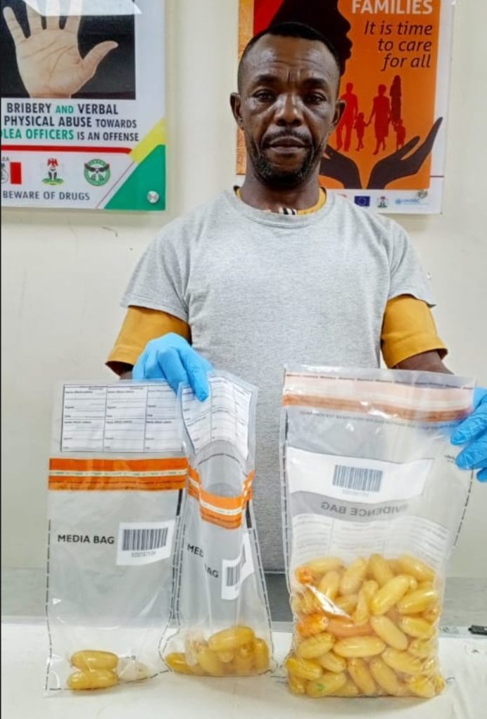National Drug Law Enforcement Agency 