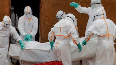Congo's Ebola Outbreak Surpasses 4,000 Cases, Becoming Fastest-Spreading on Record