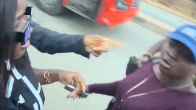 Ella the Fashionistar