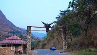 Obudu Cattle Ranch