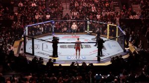 UFC Lagos